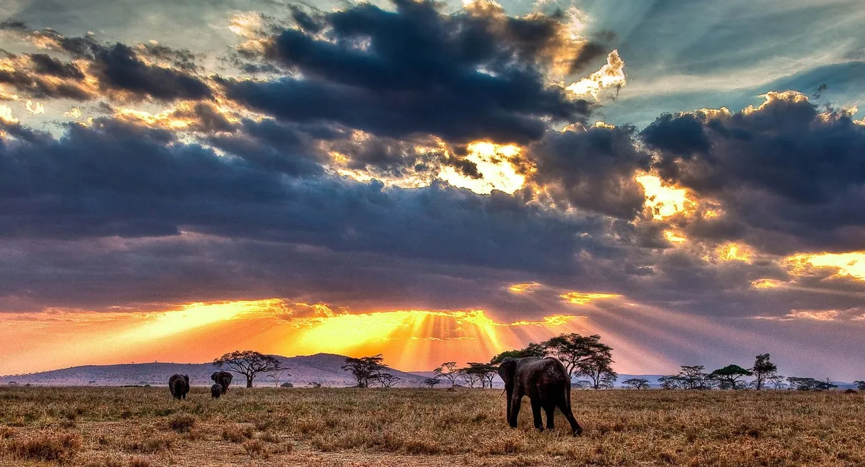 Nomads of the Serengeti