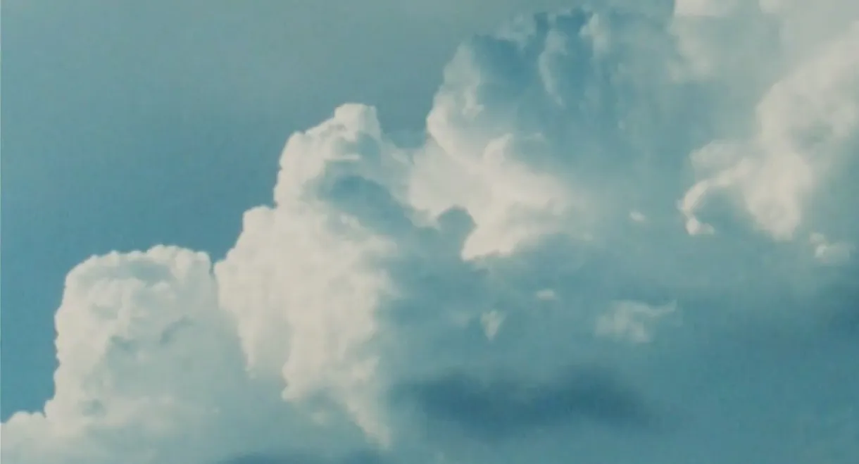 Petrichor
