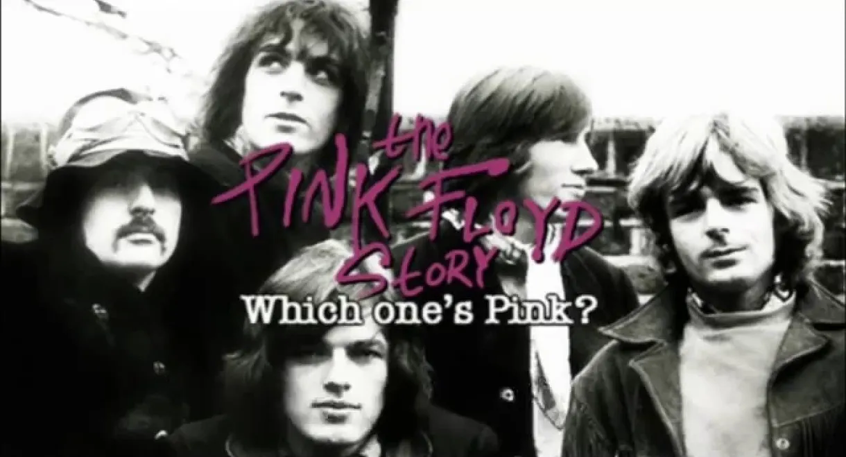 The Pink Floyd Story: Which One's Pink?