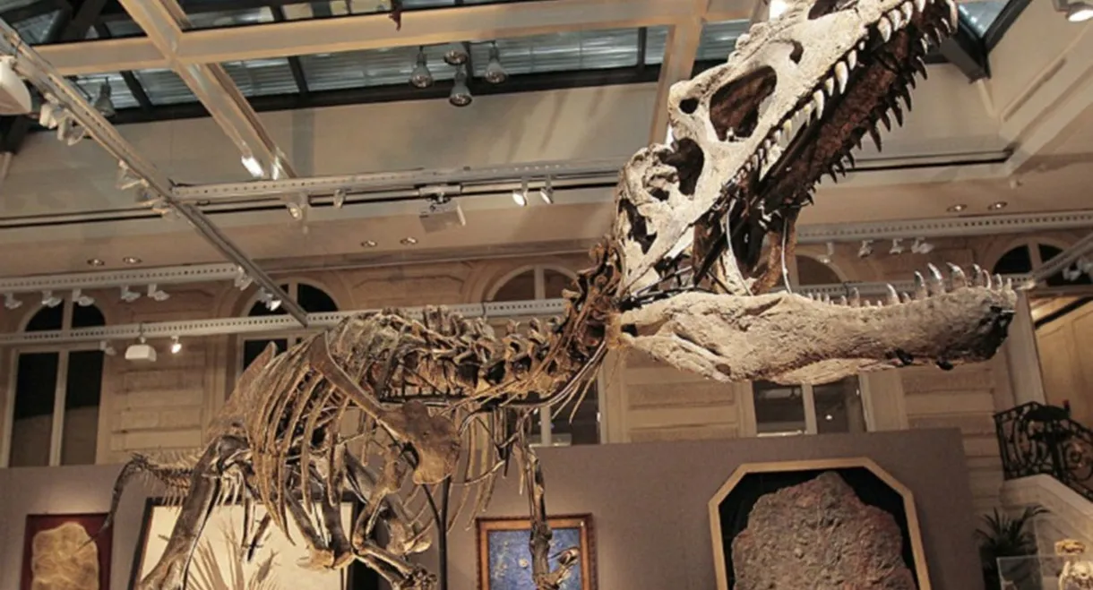 Dinosaurs