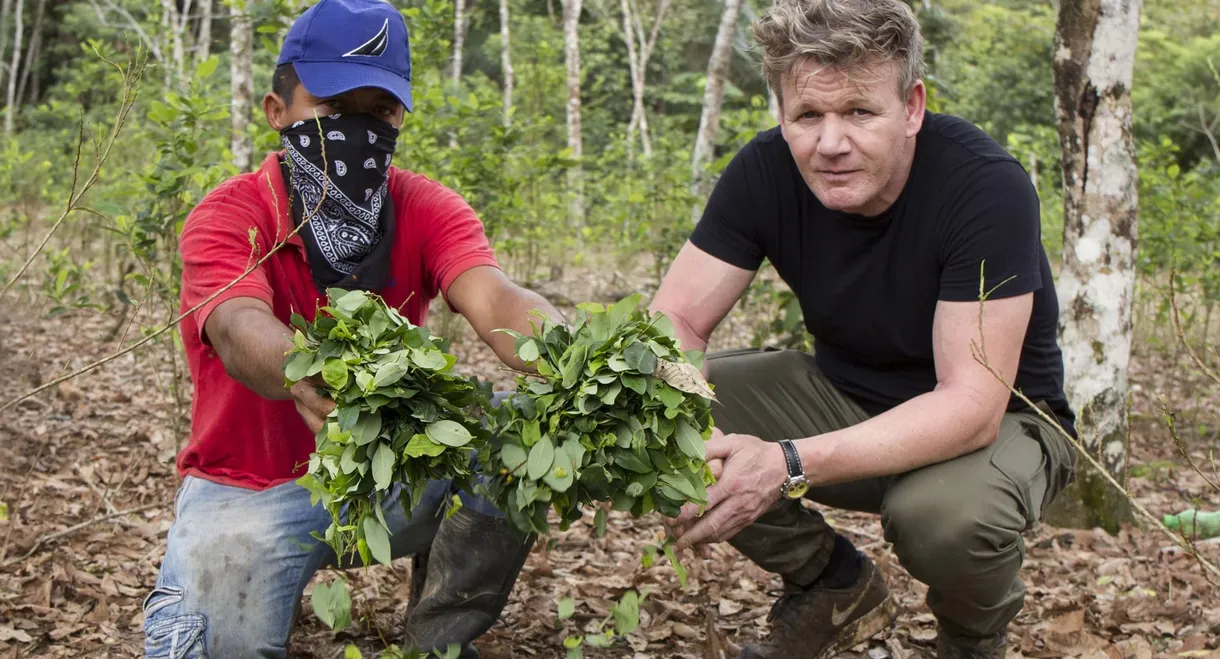 Gordon Ramsay on Cocaine