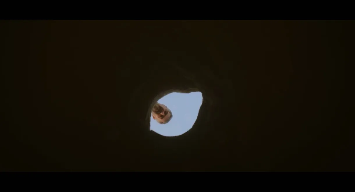 The Ant