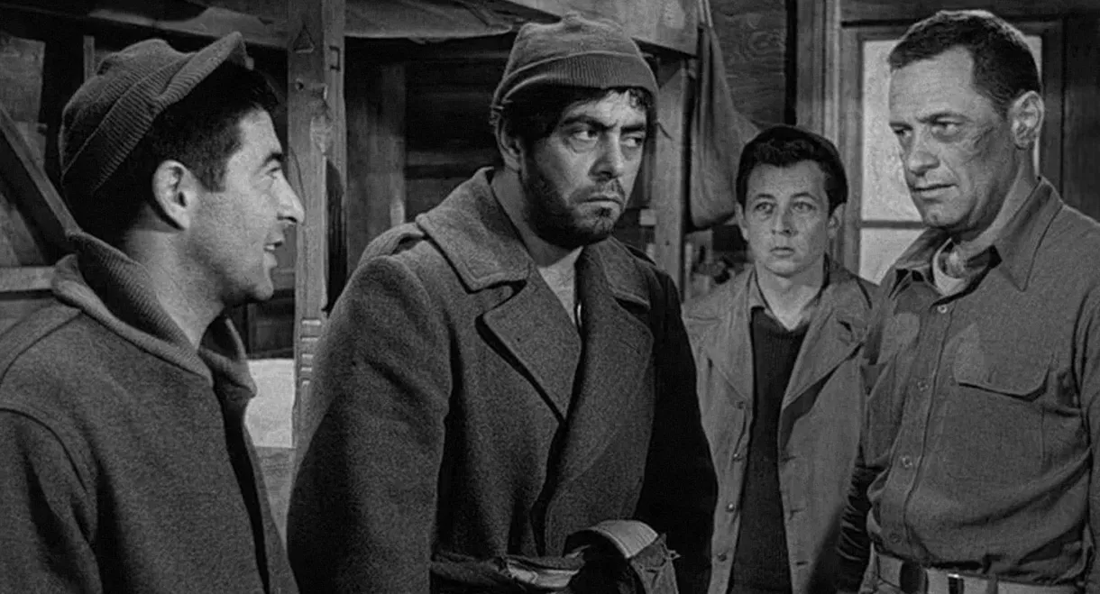 Stalag 17