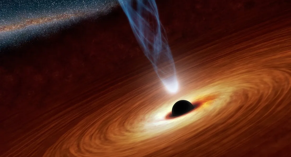 Black Hole Apocalypse