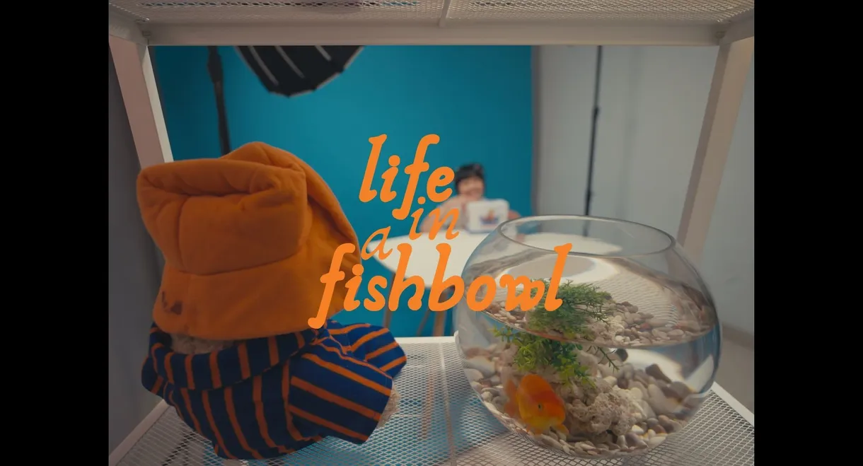 Life in a Fishbowl