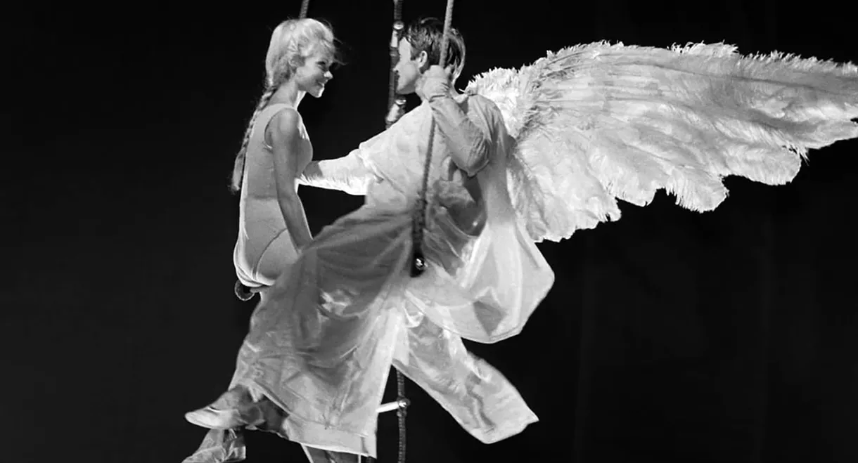 Circus Angel