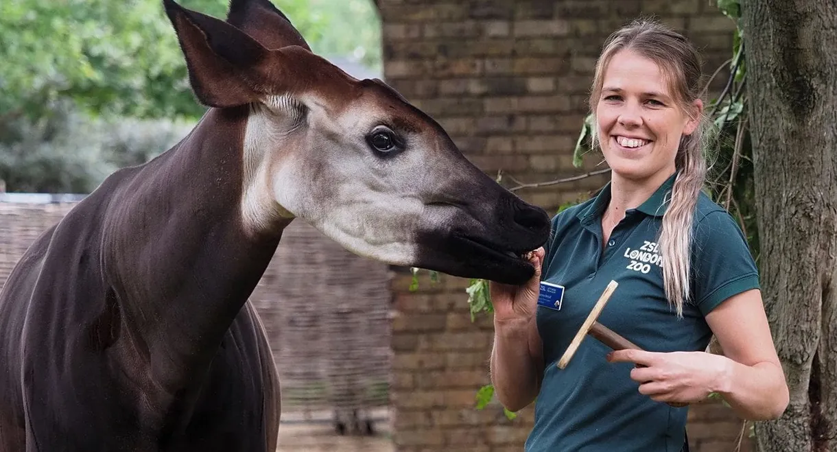 London Zoo: An Extraordinary Year