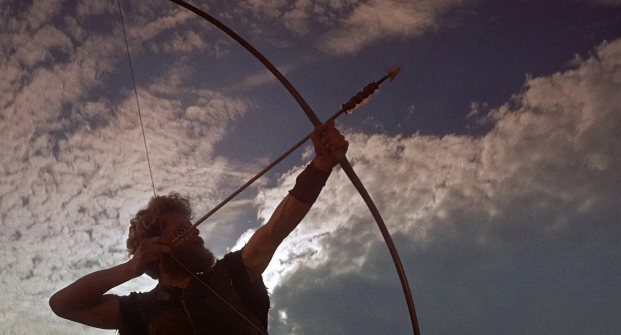 The Vikings