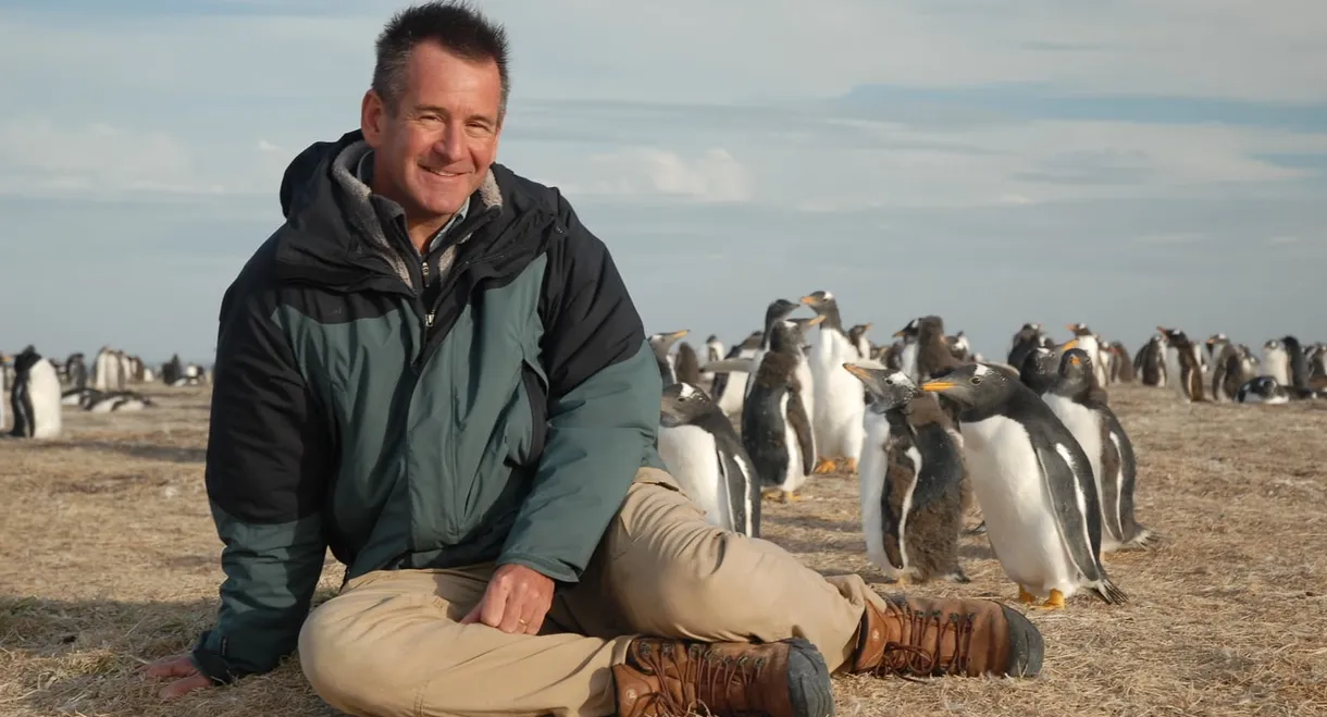 Penguin Adventure with Nigel Marven