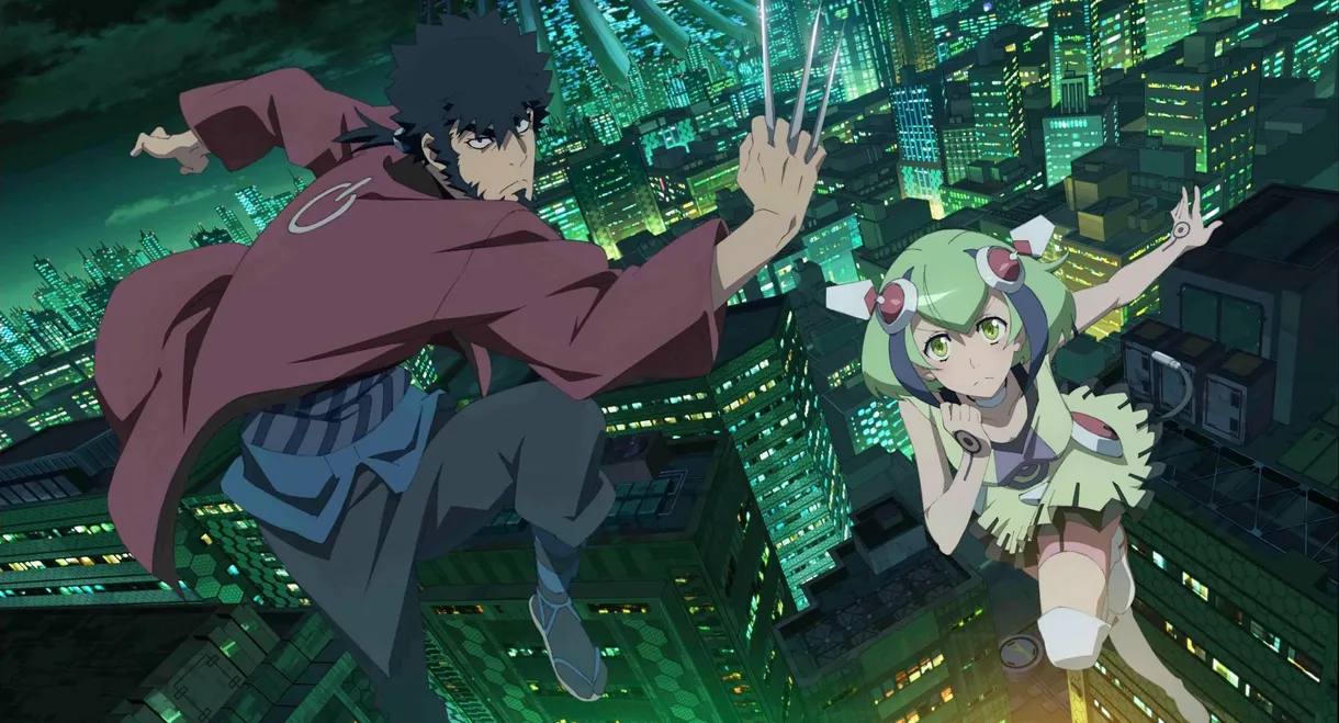 Dimension W