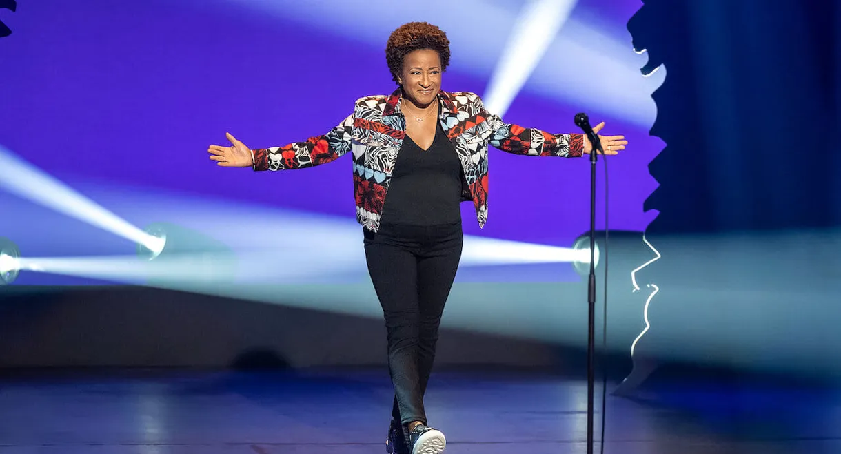 Wanda Sykes: I'm an Entertainer