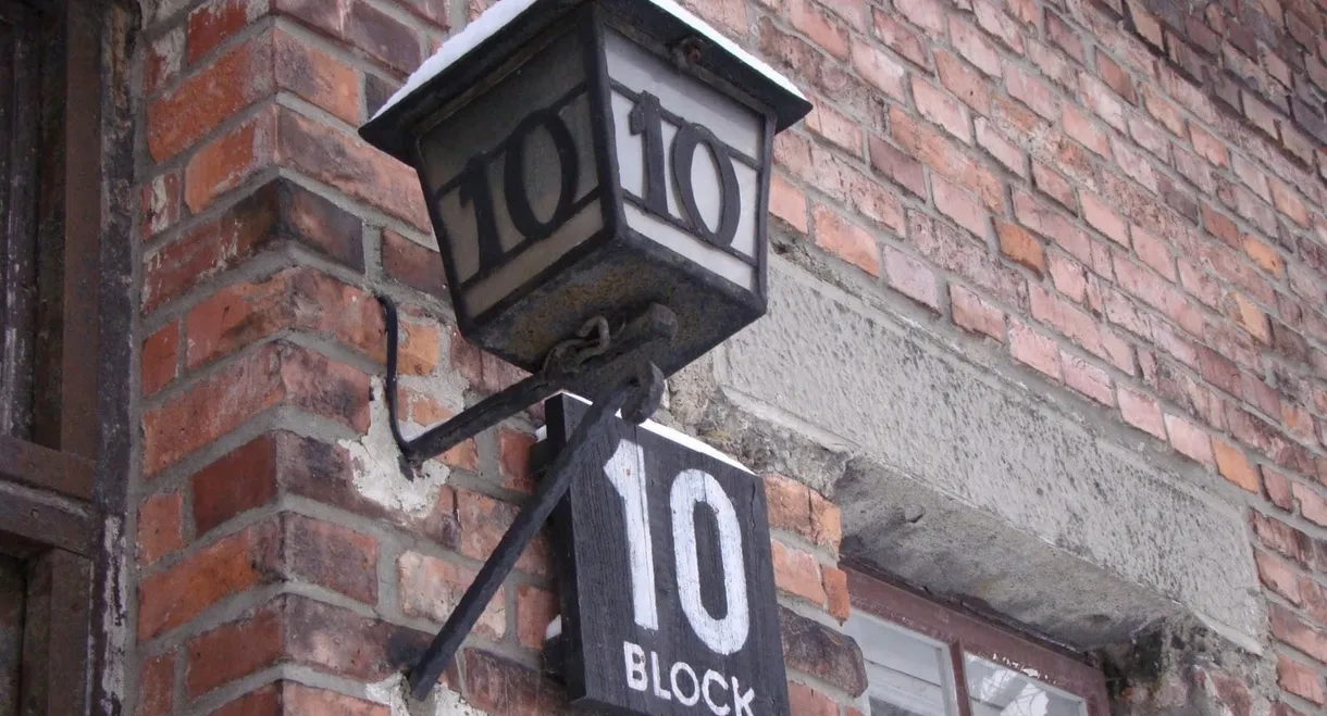 Made in Auschwitz: The Untold Story of Block 10