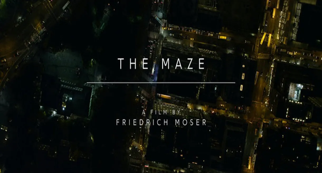 The Maze