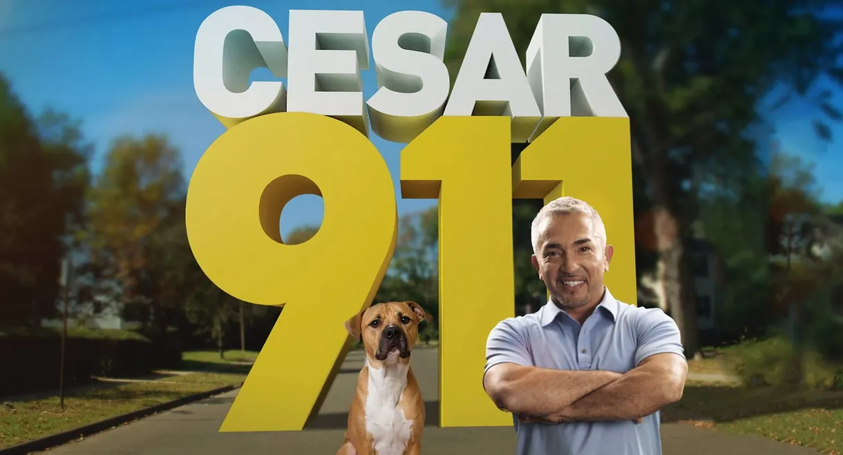 Cesar 911