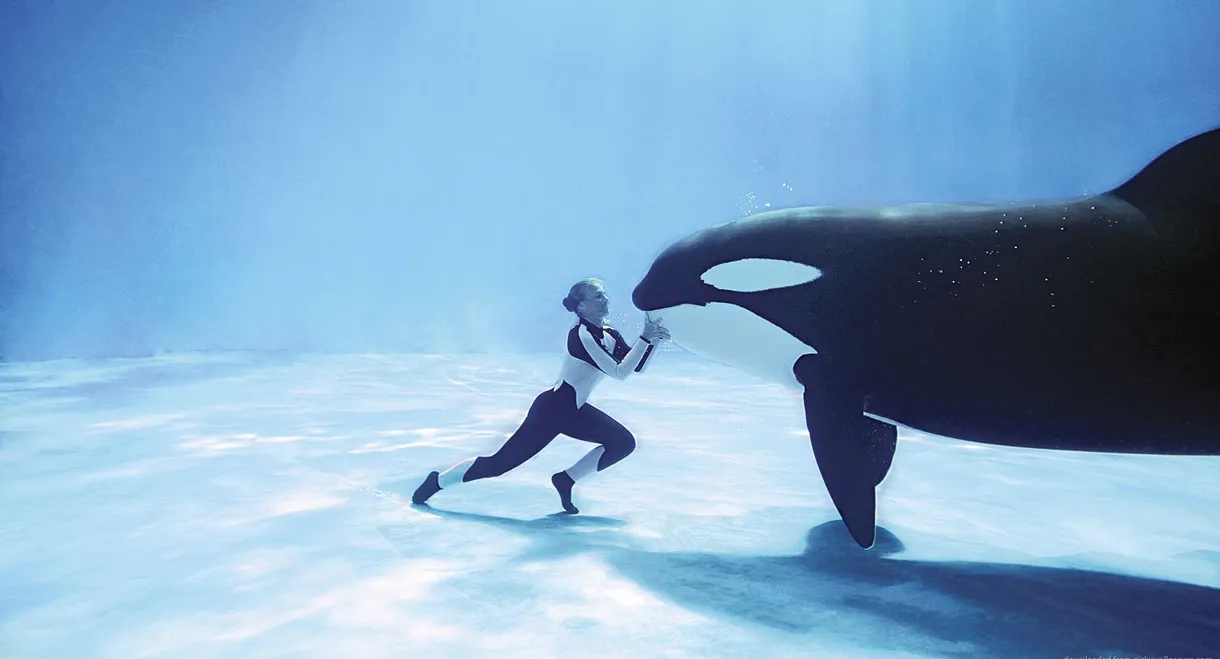 Blackfish