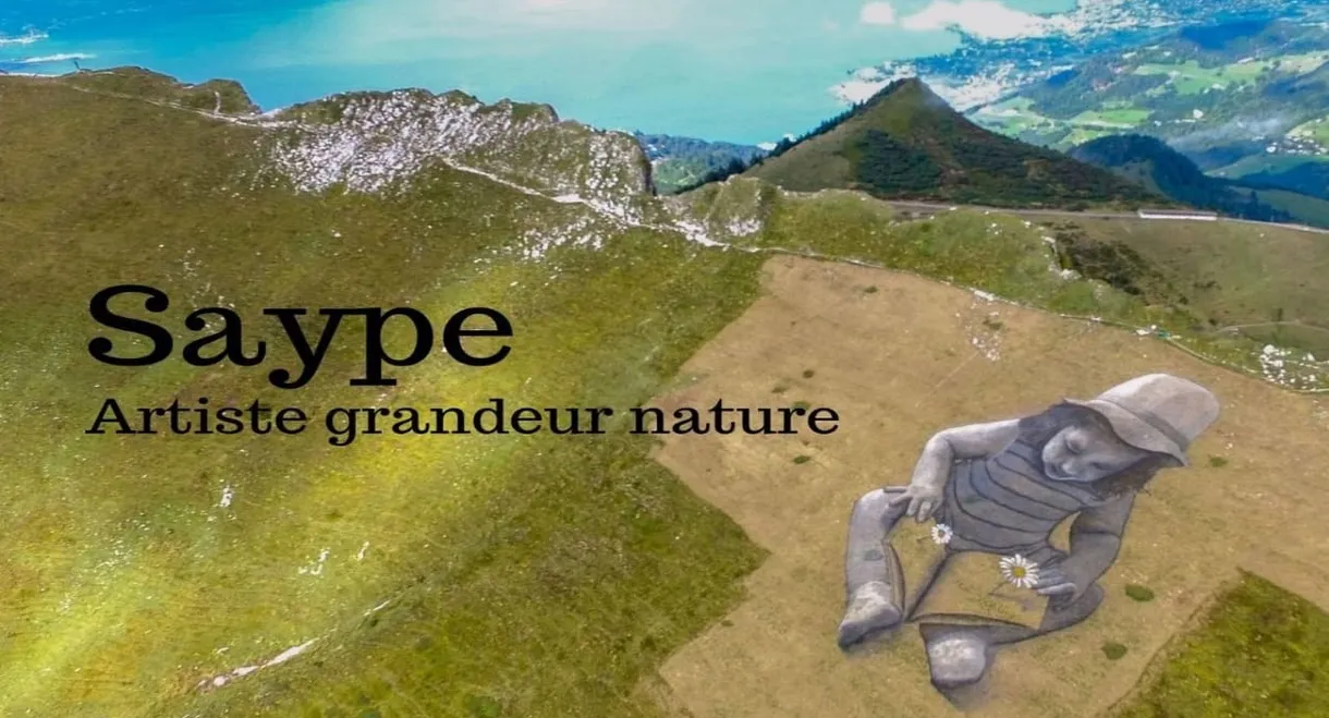 Saype, artiste grandeur nature