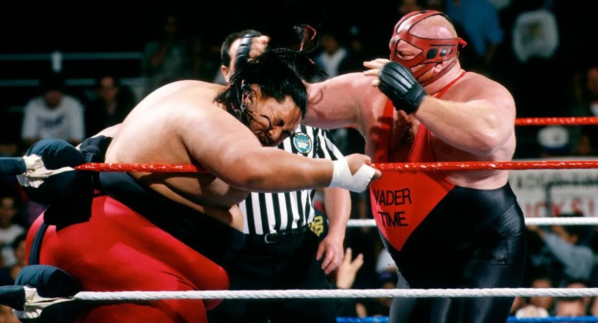 WWE In Your House 8: Beware of Dog