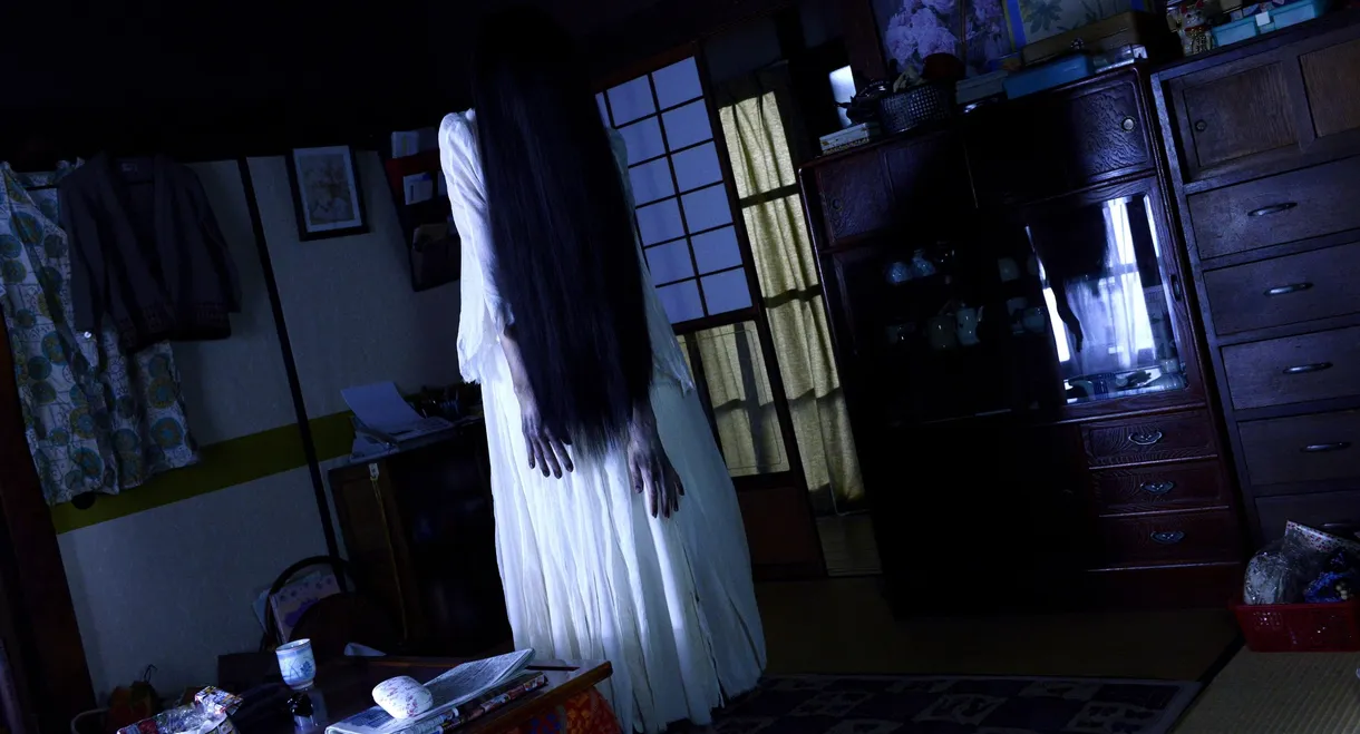 Sadako vs. Kayako