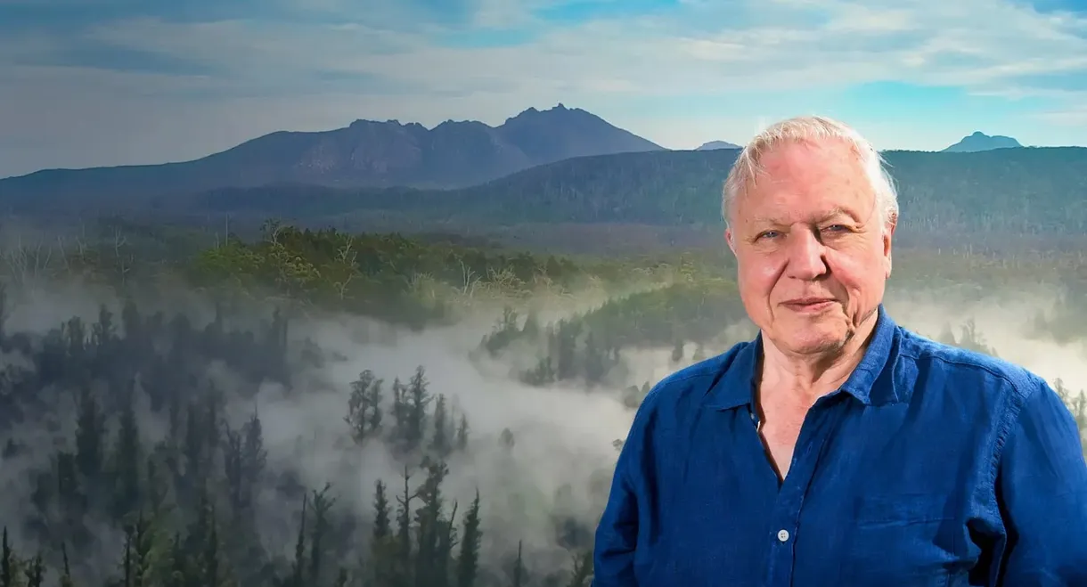 David Attenborough's Tasmania