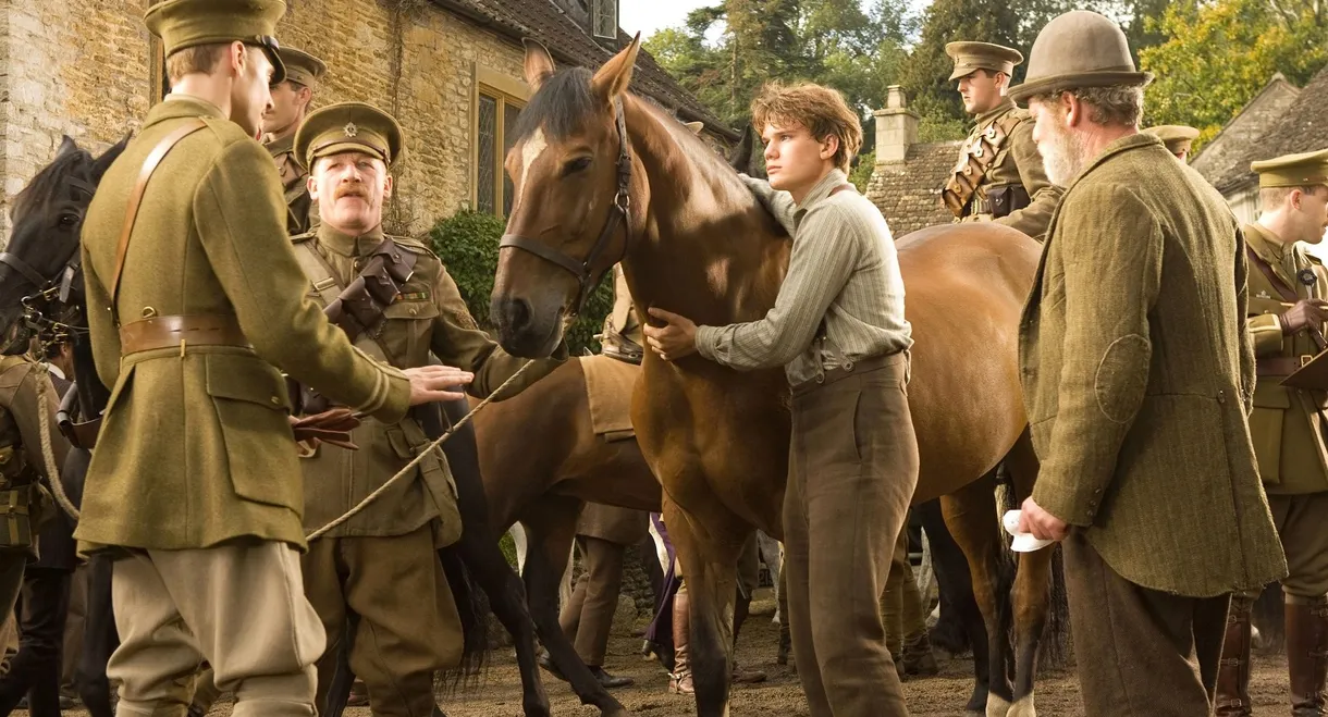 War Horse