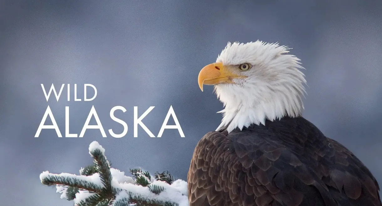 Alaska: Earth's Frozen Kingdom