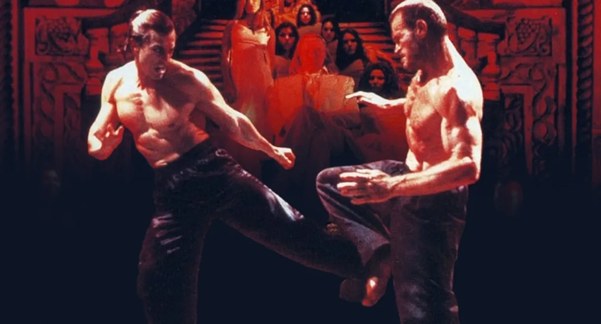 Bloodsport: The Dark Kumite