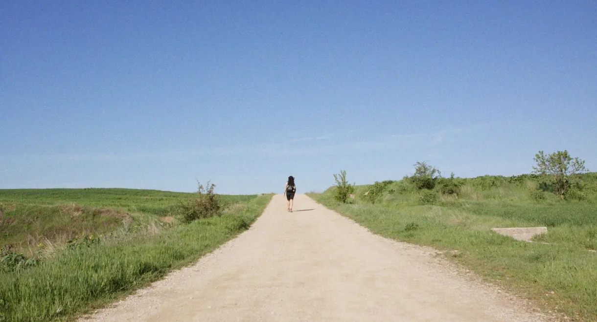 Camino Skies