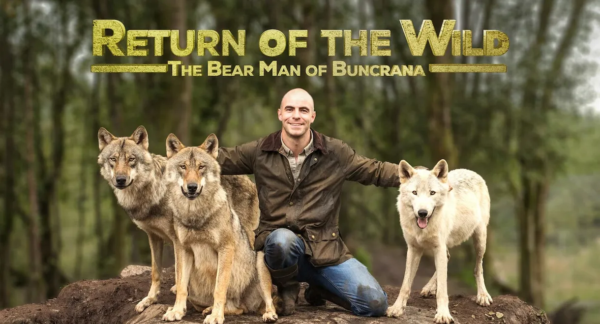 Return of the Wild: The Bearman of Buncrana