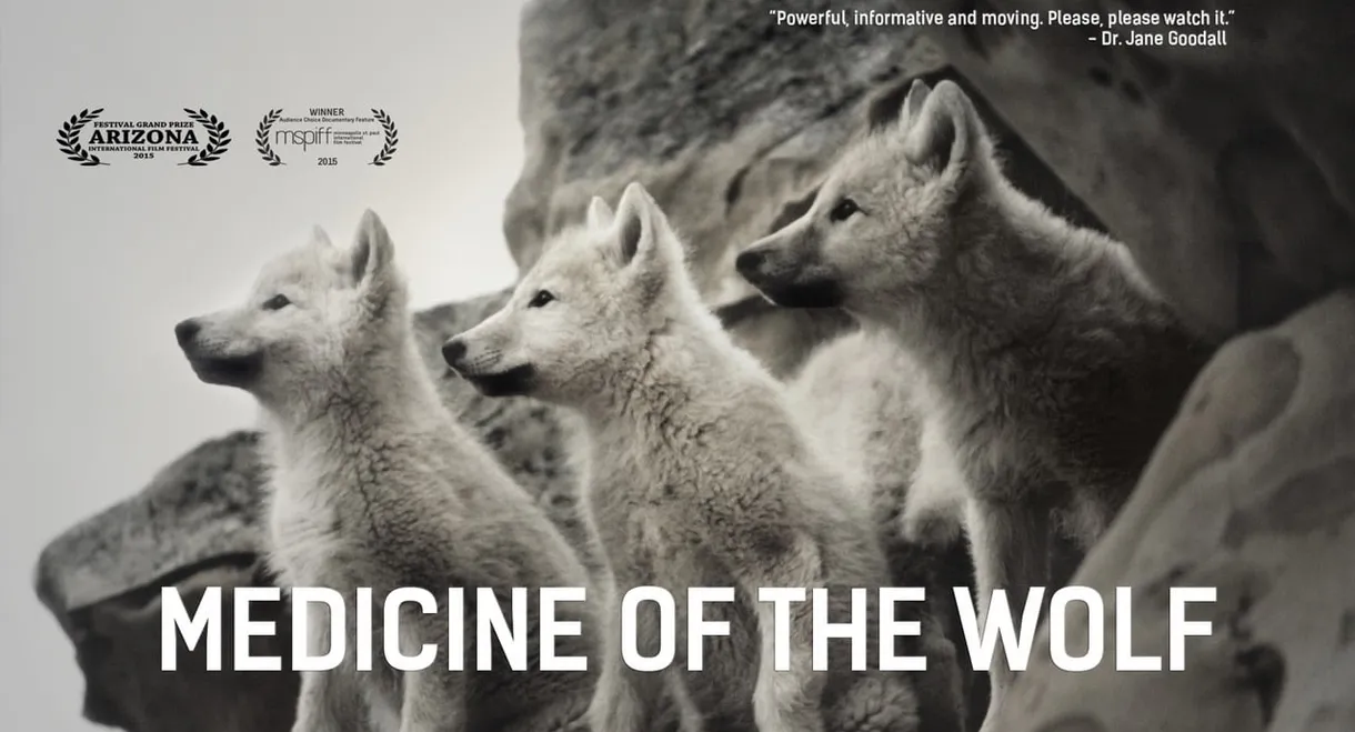 Medicine of the Wolf