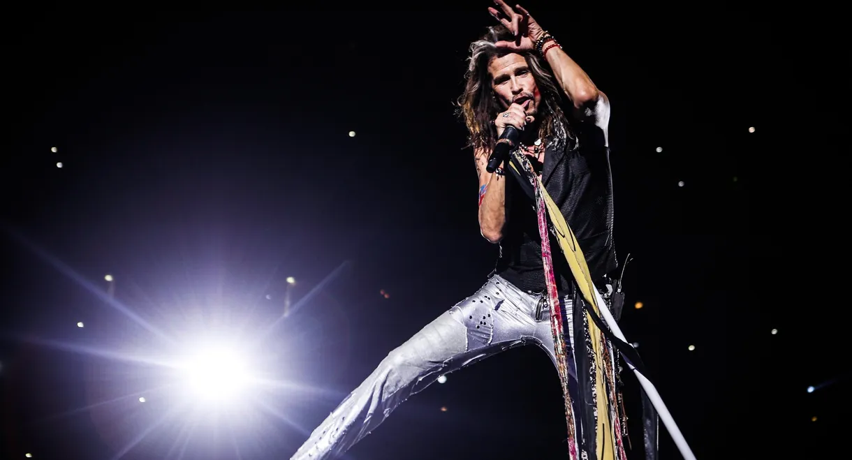 Steven Tyler: Out on a Limb