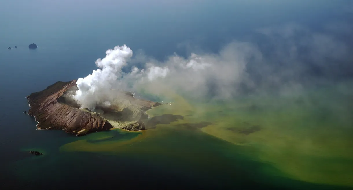 The Volcano: Rescue from Whakaari