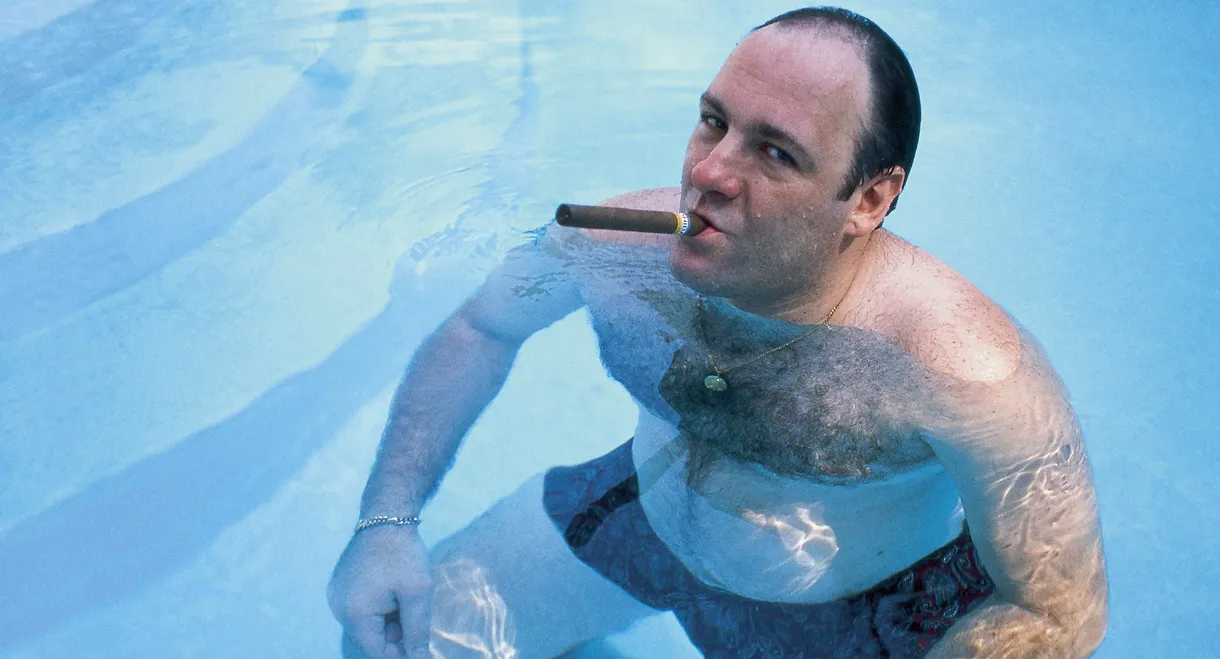 Wise Guy: David Chase and The Sopranos