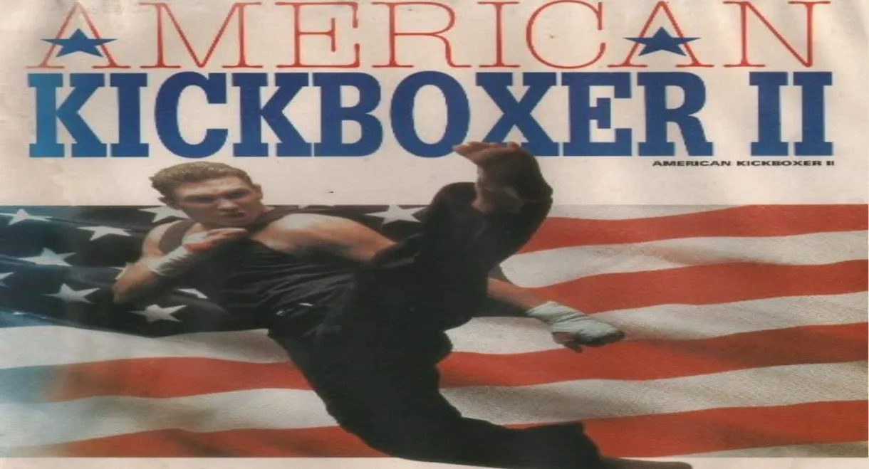 American Kickboxer 2