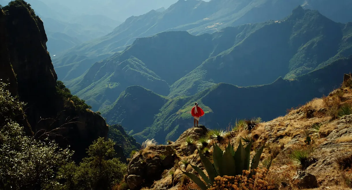 Mexico: Earth's Festival of Life