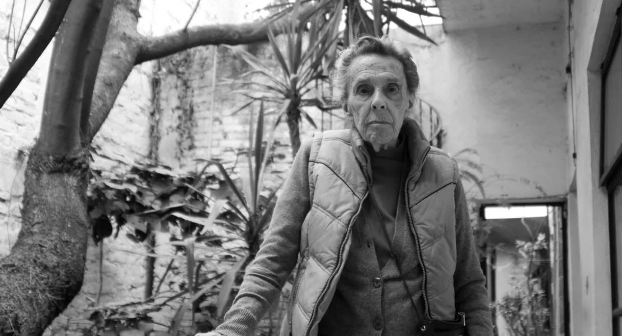 Leonora Carrington: The Lost Surrealist