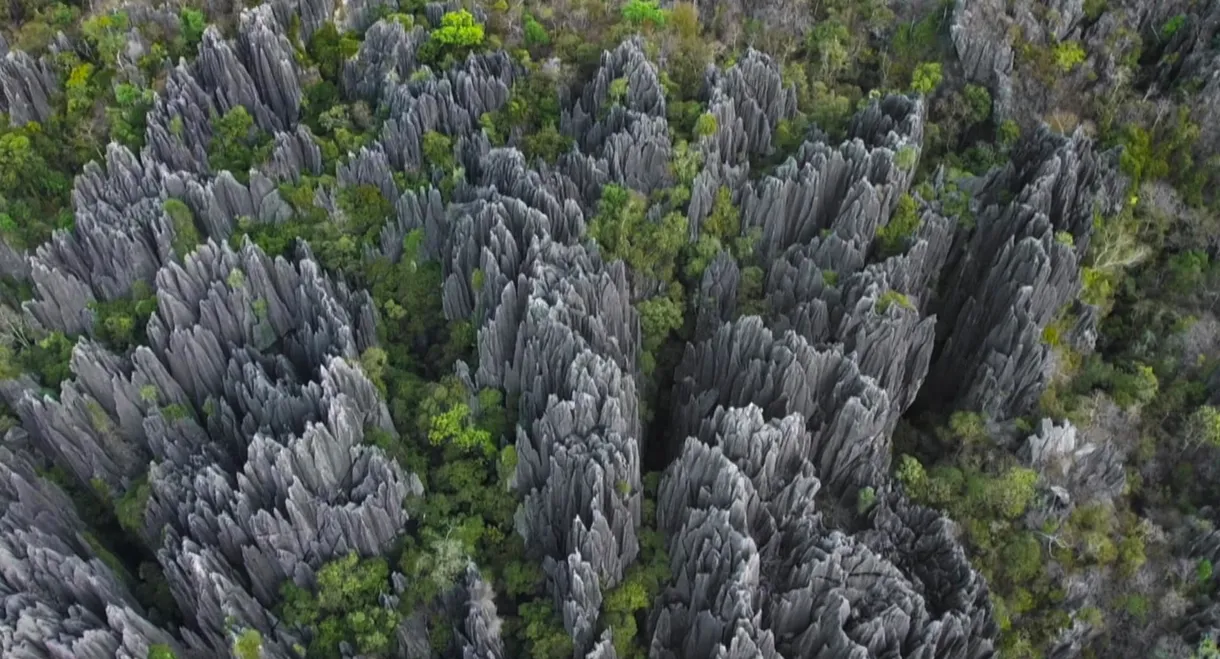 L'histoire secrète des paysages