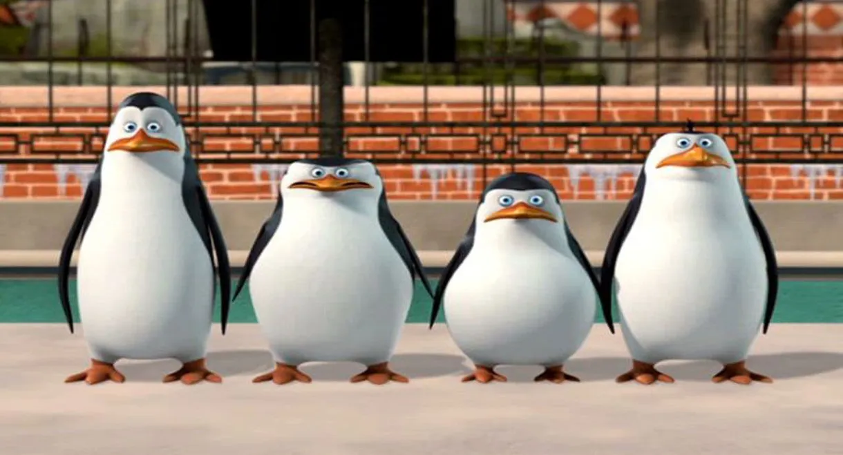 The Penguins of Madagascar: New to the Zoo