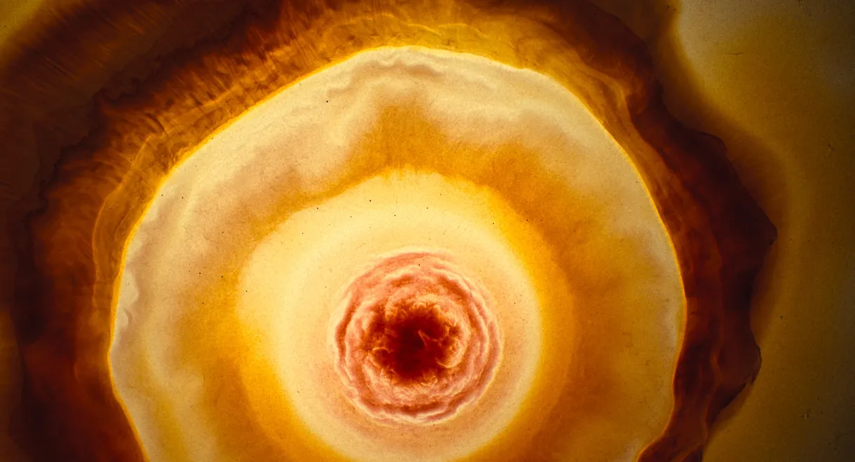 Voyage of Time: Life's Journey