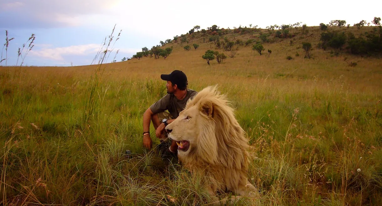 African Safari