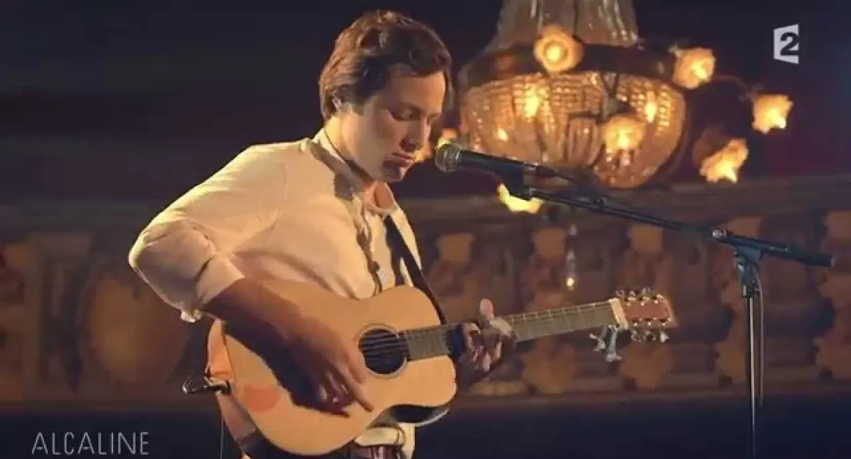 Vianney - Alcaline le Concert