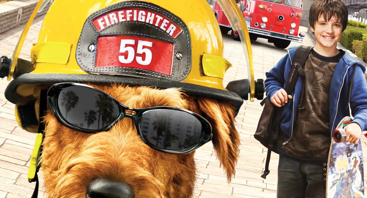 Firehouse Dog