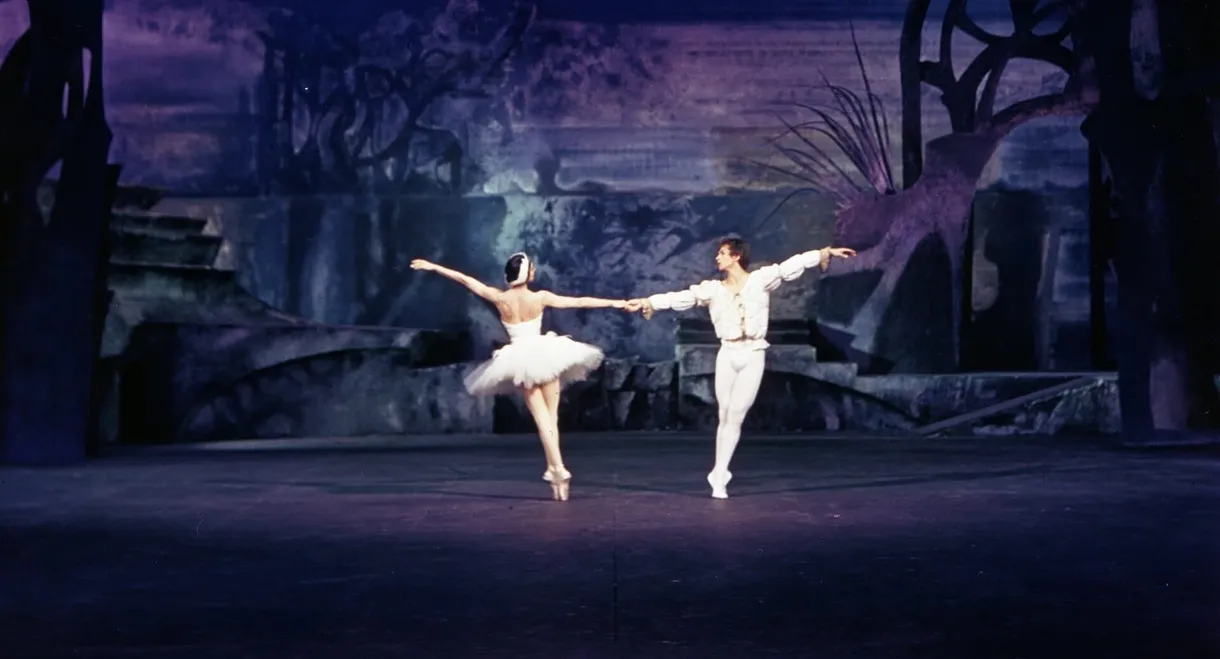 Swan Lake