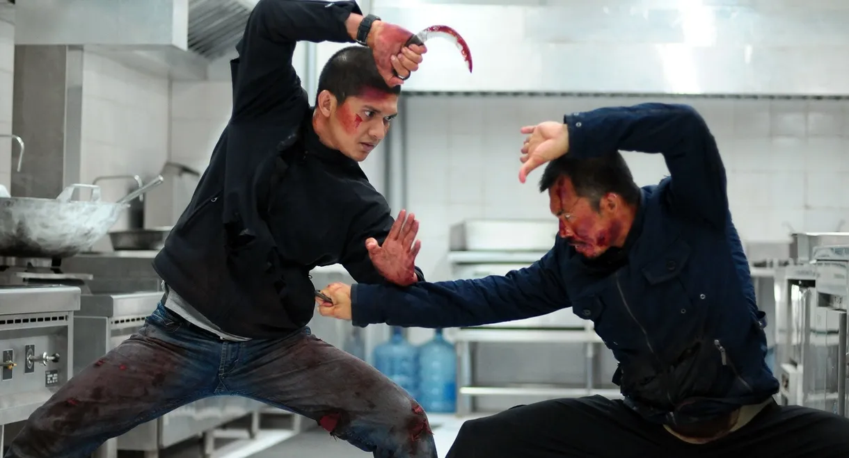 The Raid 2