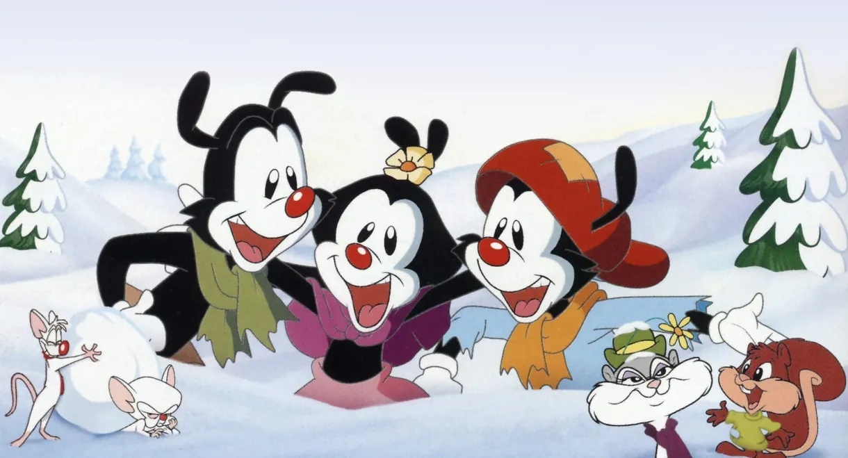 Animaniacs: Wakko's Wish