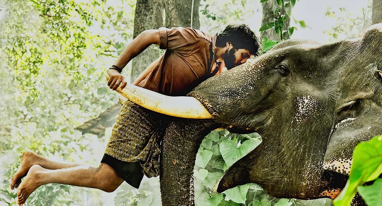 Kumki