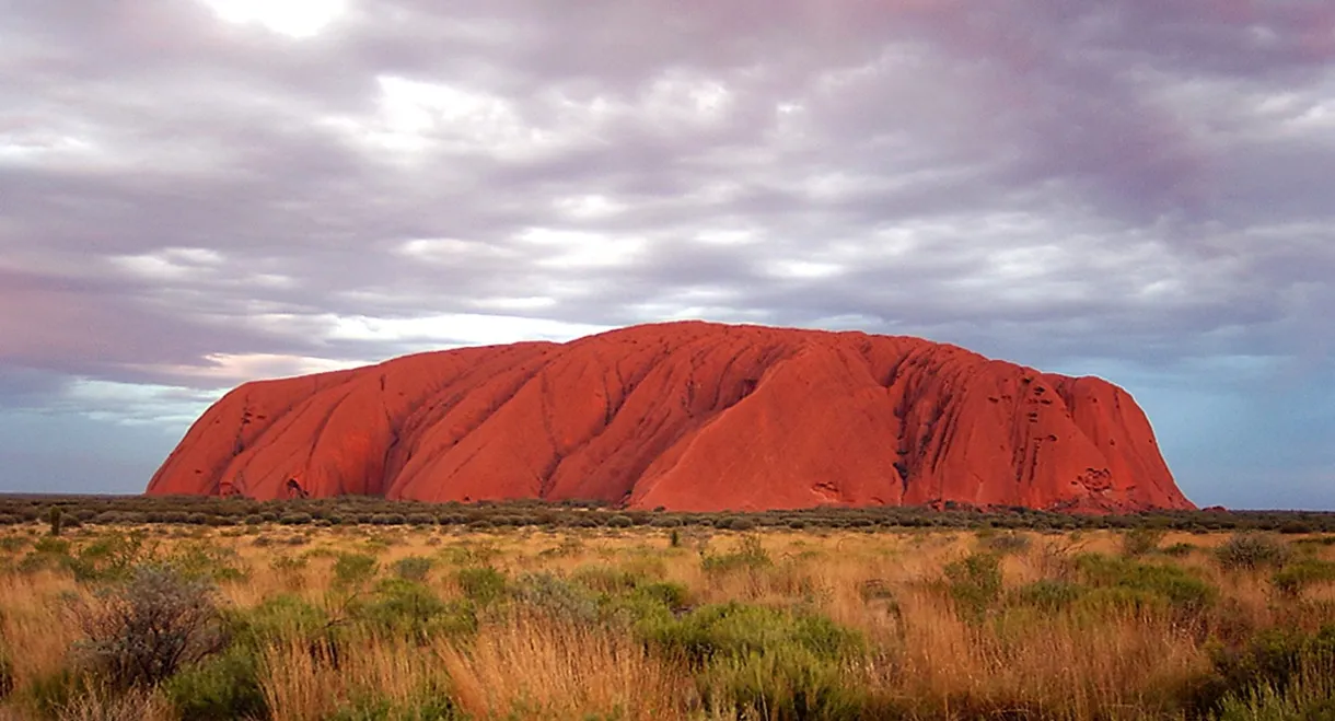 Wild Down Under