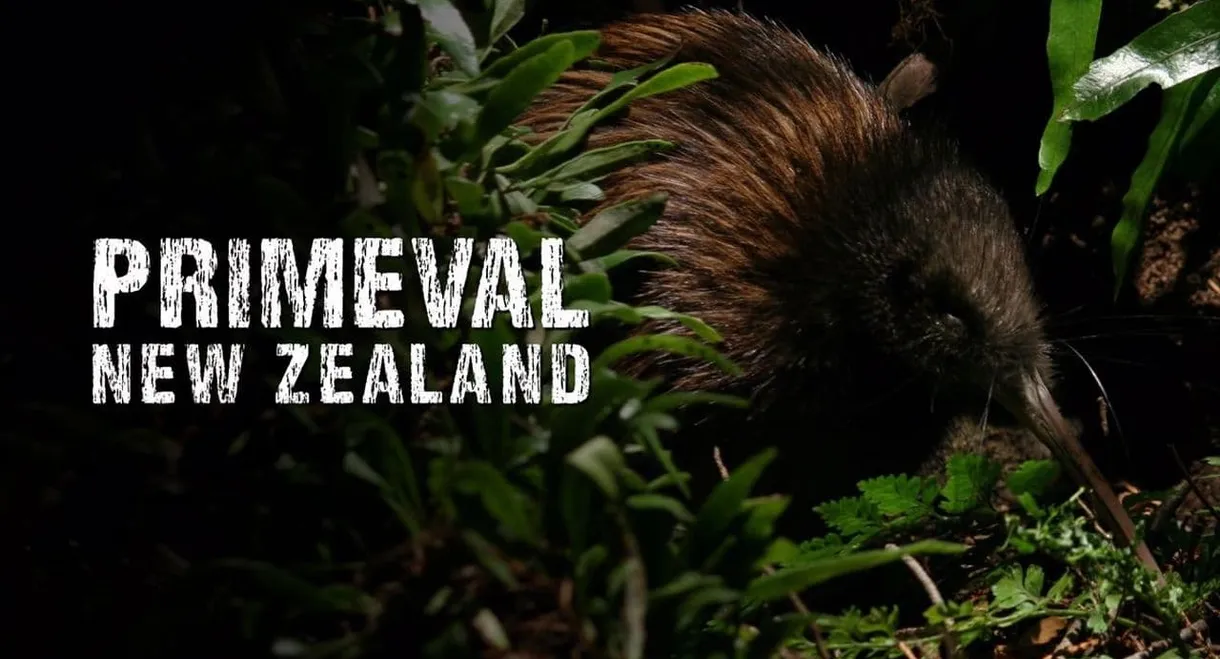 Primeval New Zealand