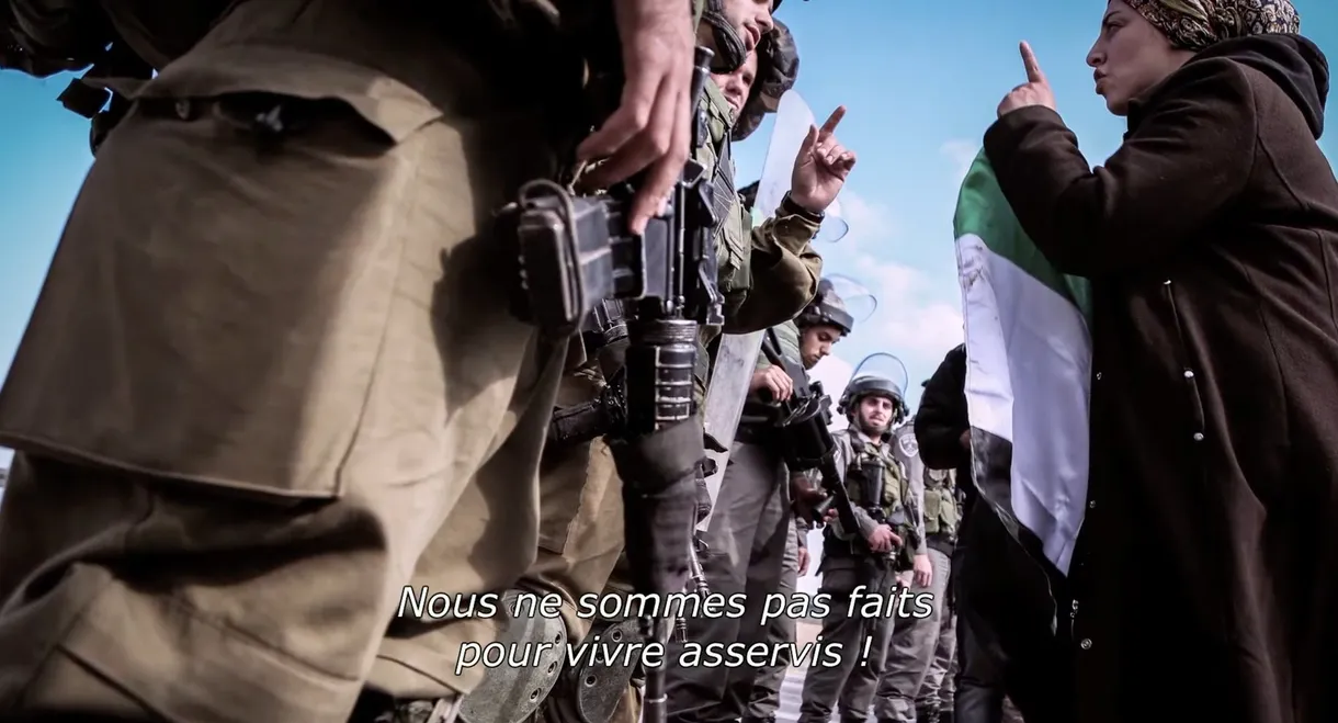 Beyond the Frontlines: Resistance and Resilience in Palestine