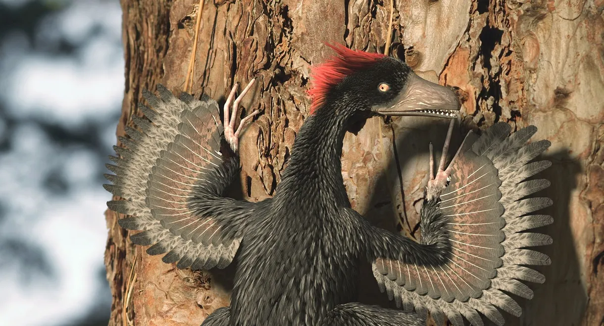 A New Prehistory