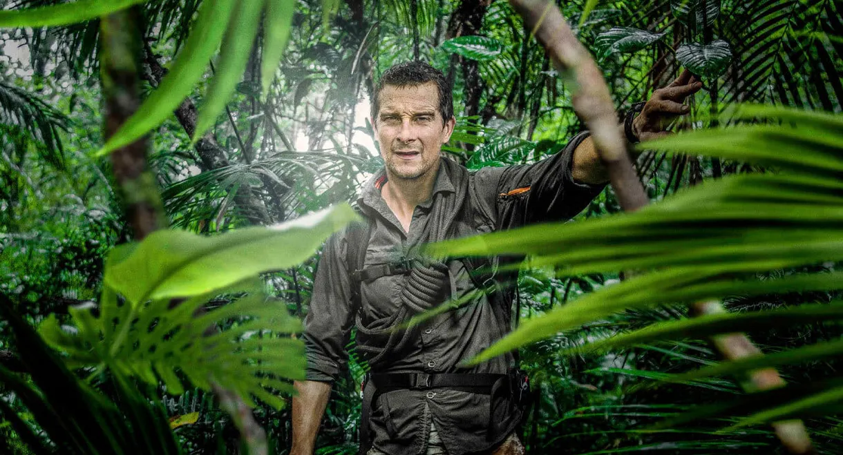 The Island with Bear Grylls